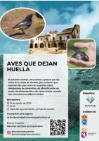 AVES QUE DEJAN HUELLA 19/08/2025