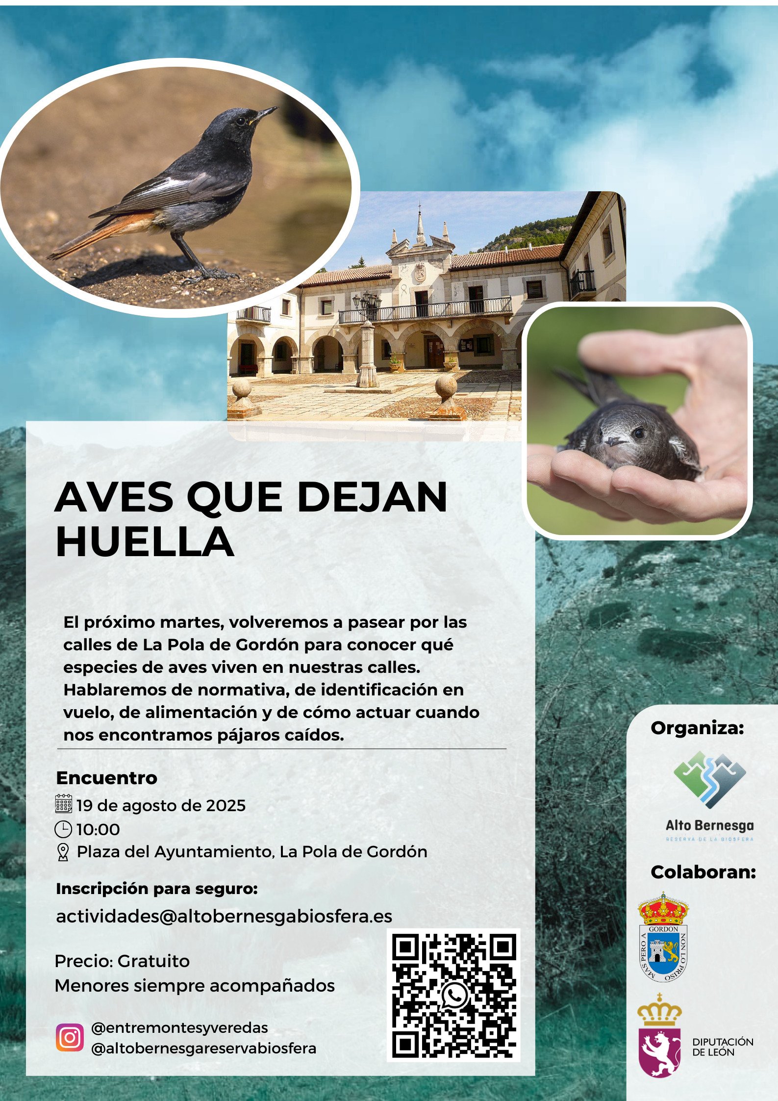 AVES QUE DEJAN HUELLA