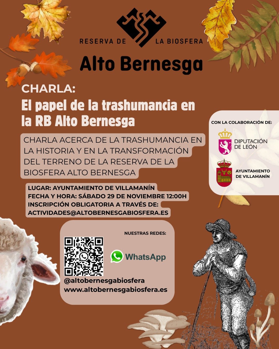 El papel de la trashumancia en la RB Alto Bernesga